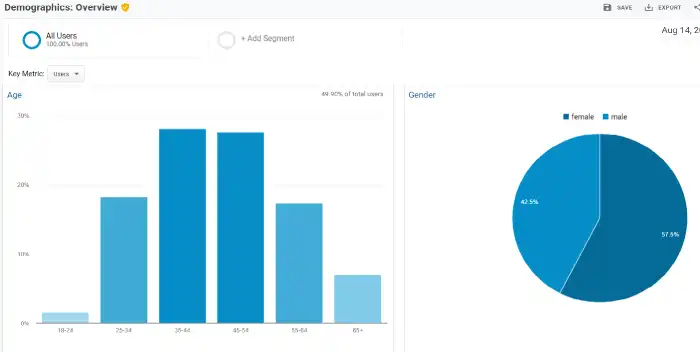 google-analytics-audience-overview